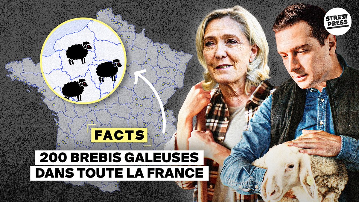 StreetPress tweet media