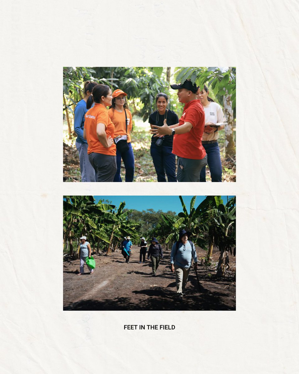 Earthworm Foundation tweet media