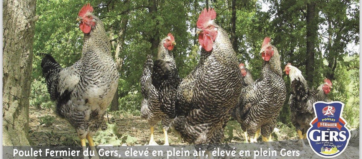 Pierre BUFFO tweet media