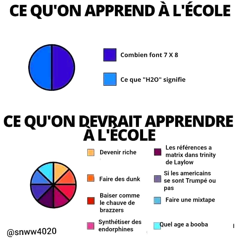 shacofou tweet media