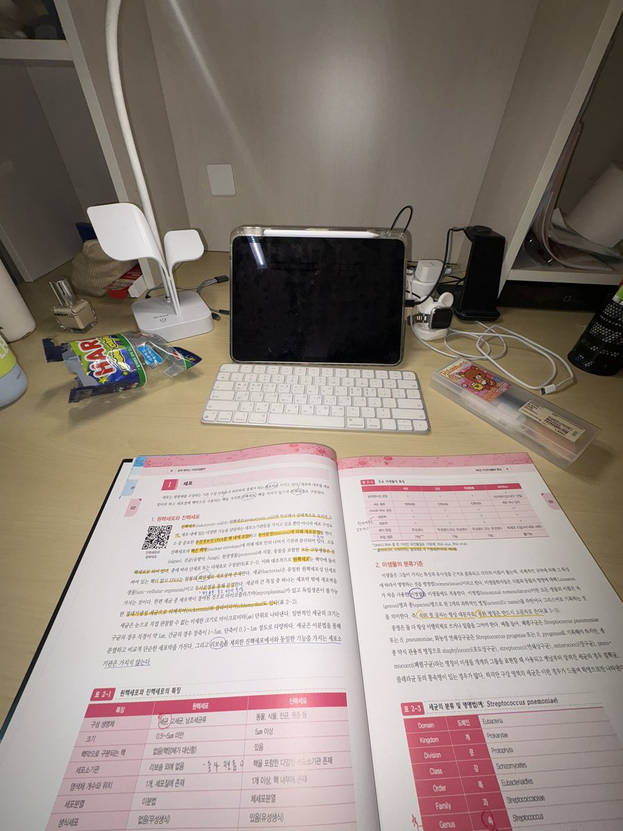 우니 tweet media