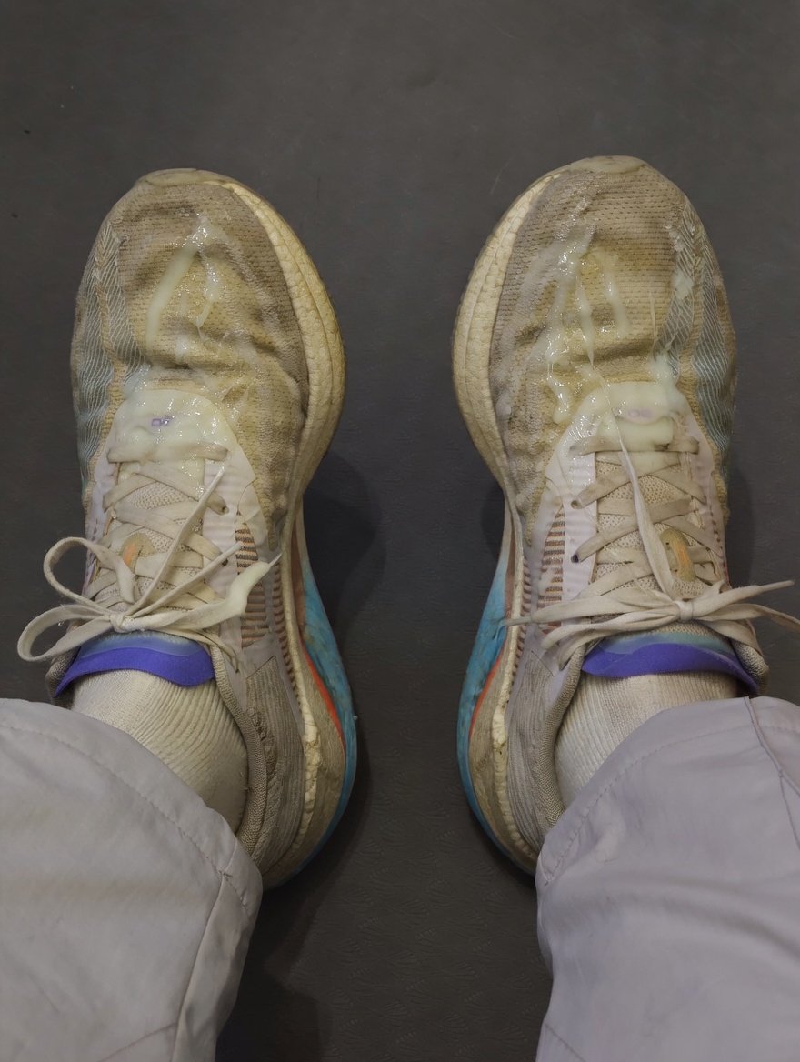 SilverRime🐉🐺 tweet media