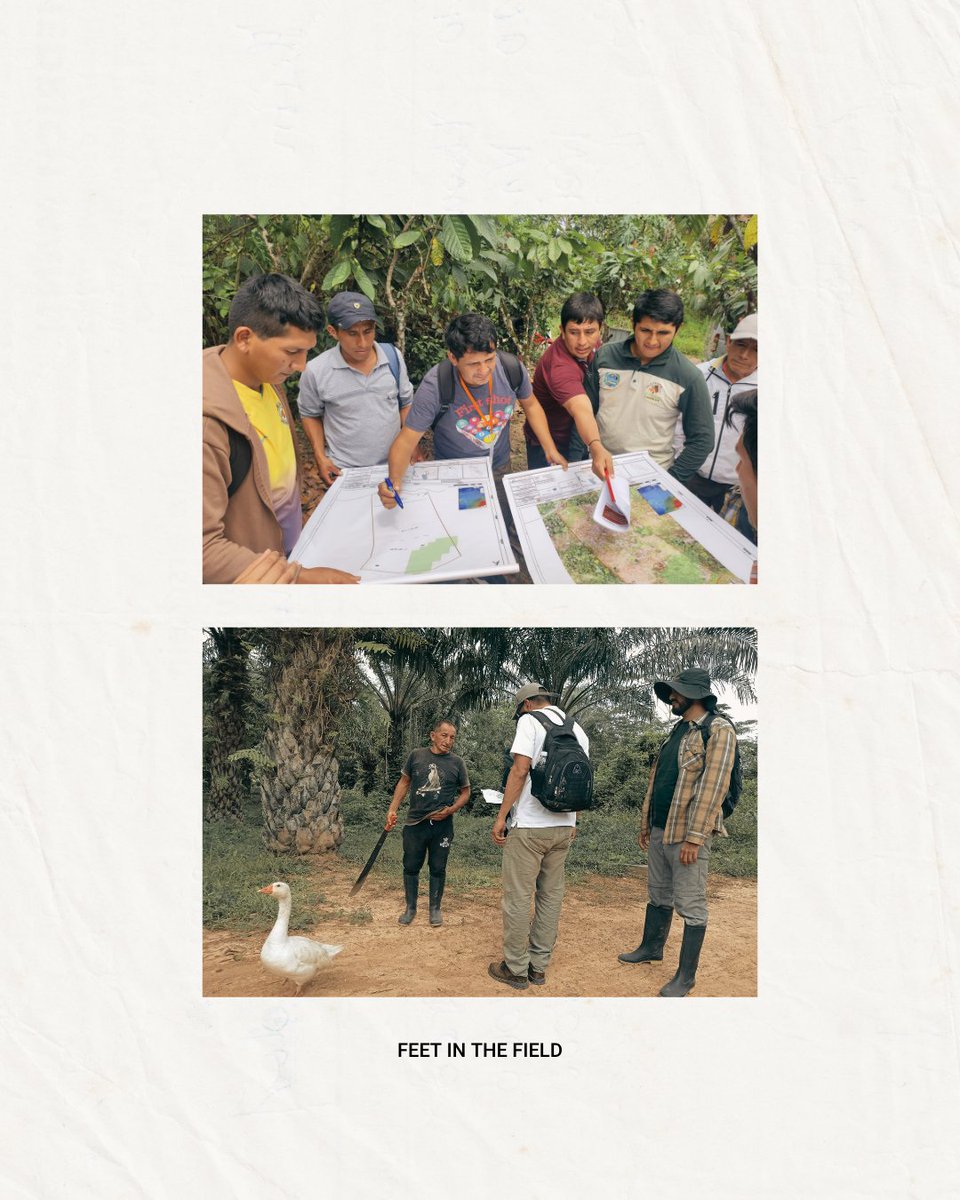 Earthworm Foundation tweet media