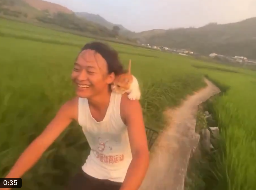 testnet jerry (mechanic arc) tweet media