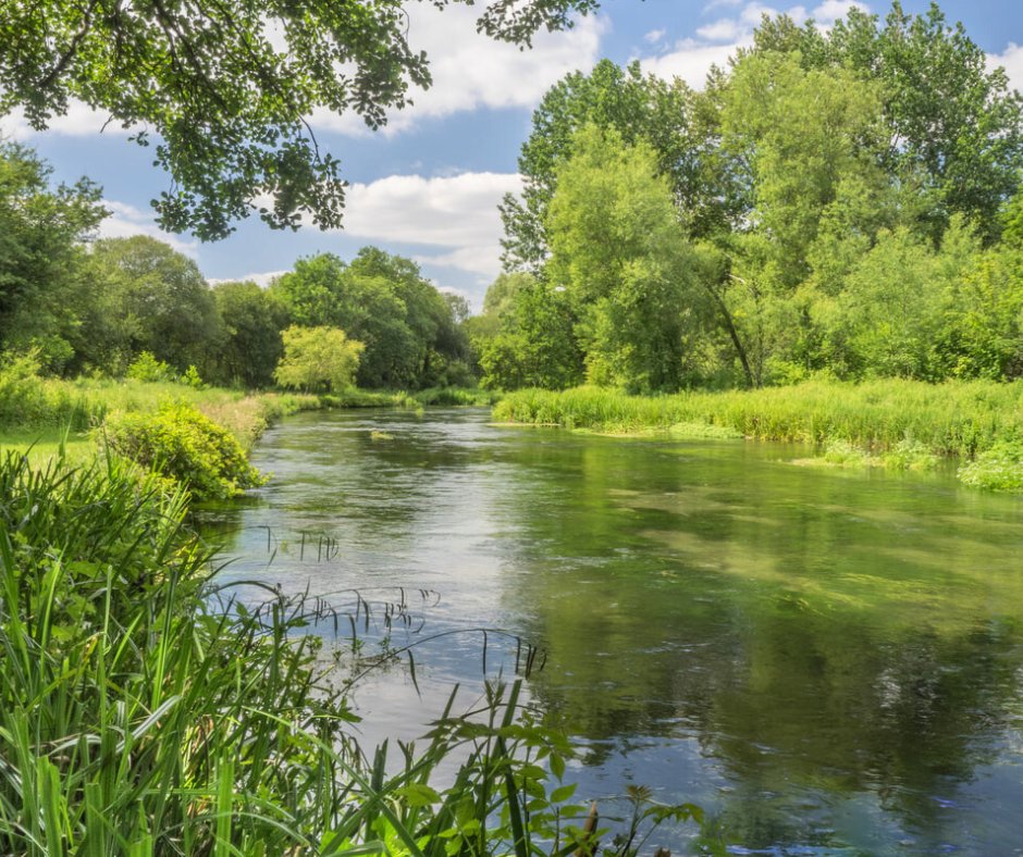 The Wild Trout Trust tweet media