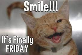 Caravans & Campers tweet media