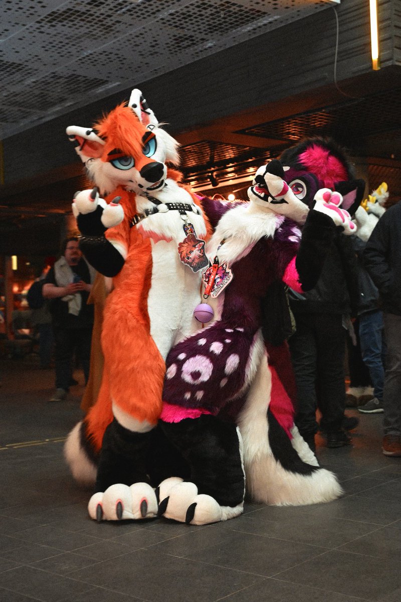 🦊WILDFOXWORKS🦊 🔜 AWOO tweet media