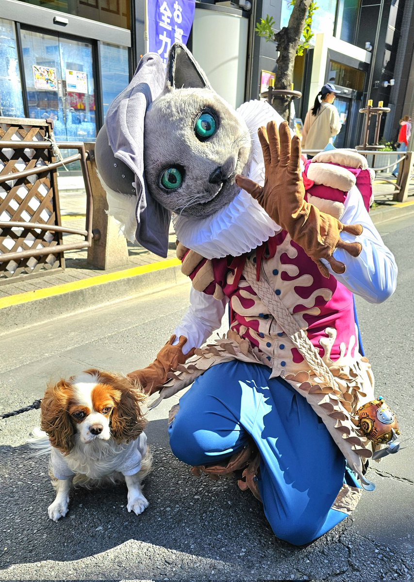 Arthur_of_cat's tweet photo. かわいいワンちゃんともお写真撮ったよ～✋😸🐶✨
ありがとねー💕✨

#ねこさんぽ
#エンカメ
#亀戸大道芸
#ロービング
#スタチュー https://t.co/MuHlSGosOD