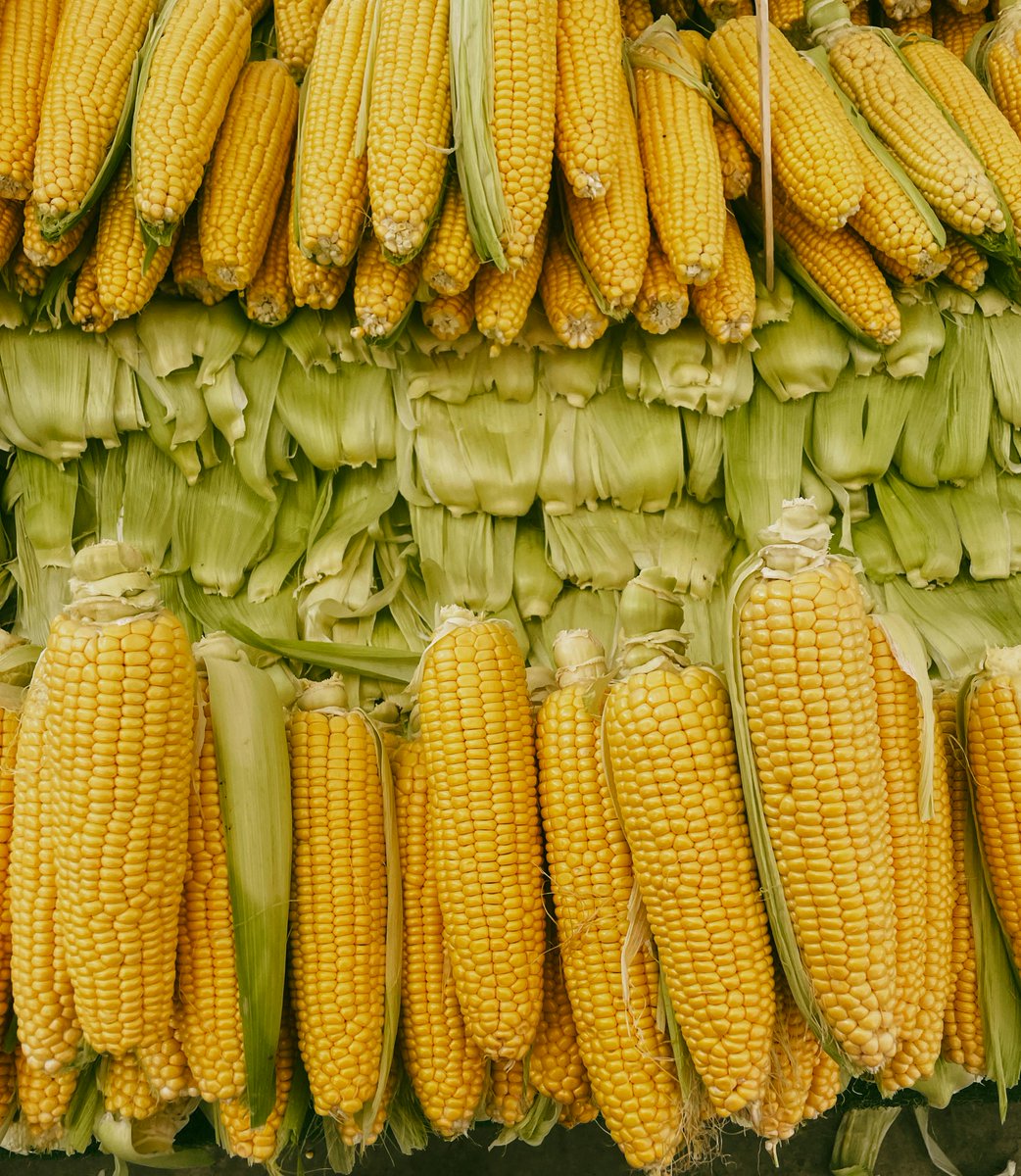 Agribook.Digital tweet media