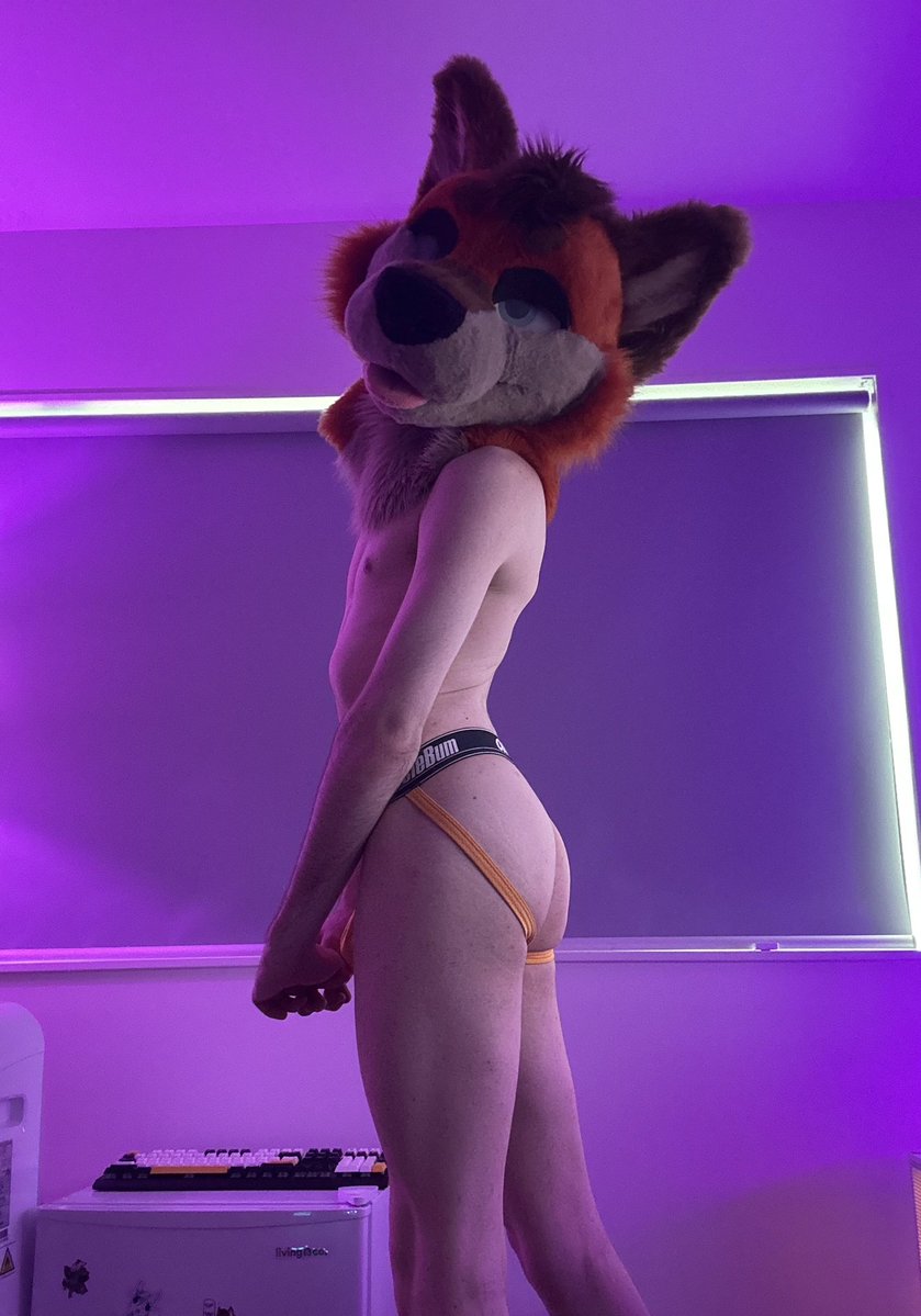 OneHotFox tweet media