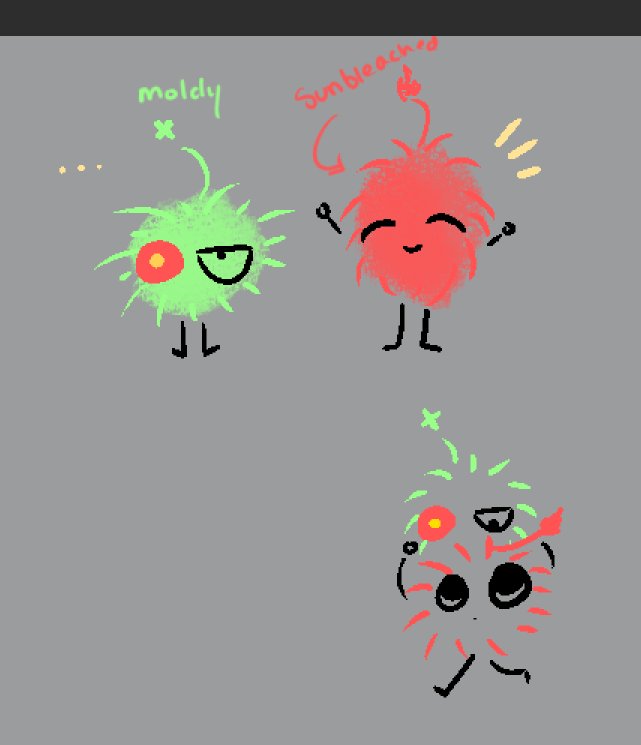 bokk | 복차 tweet media