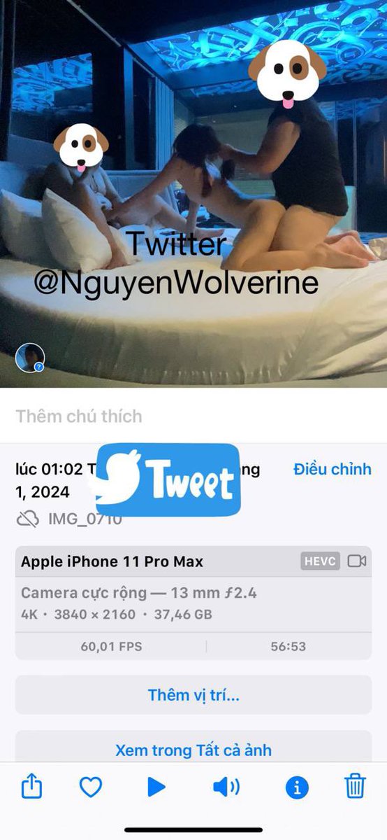 Wolverine Nguyen tweet media