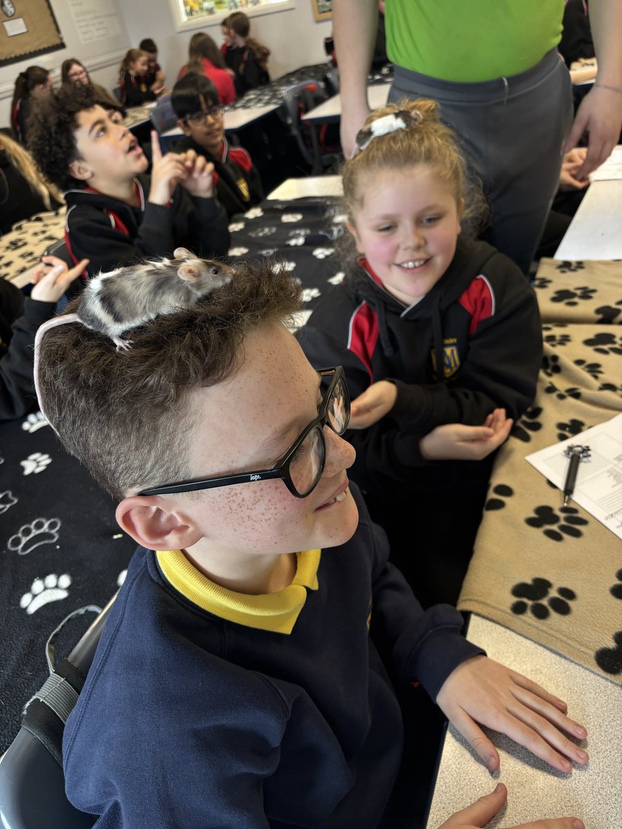 Newminster Middle tweet media