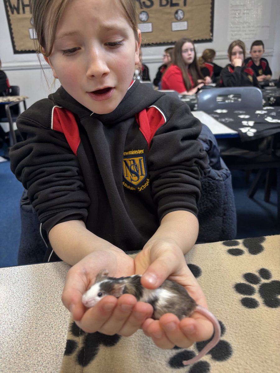 Newminster Middle tweet media