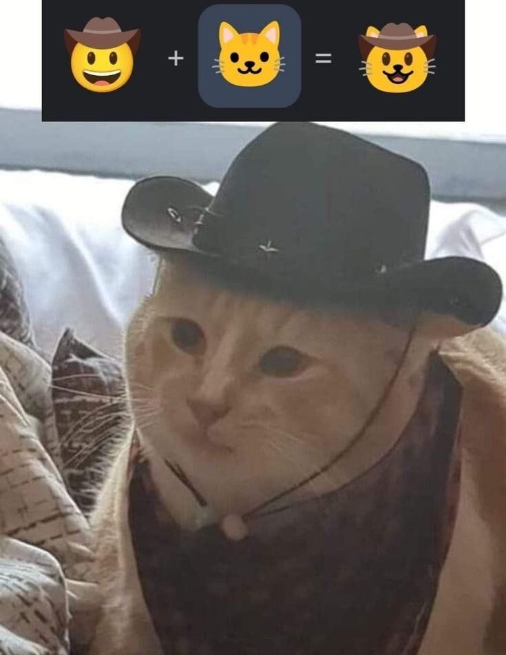 Why you should have a cat tweet media