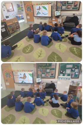 Rockingham J&I tweet media