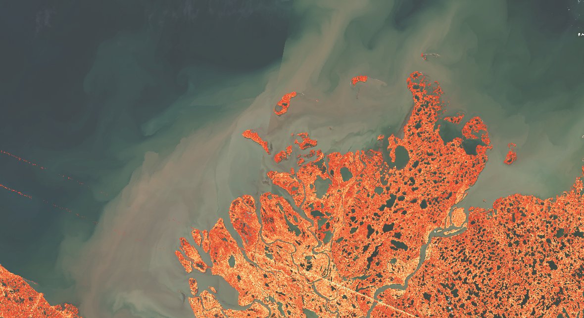 Canadian Space Agency tweet media