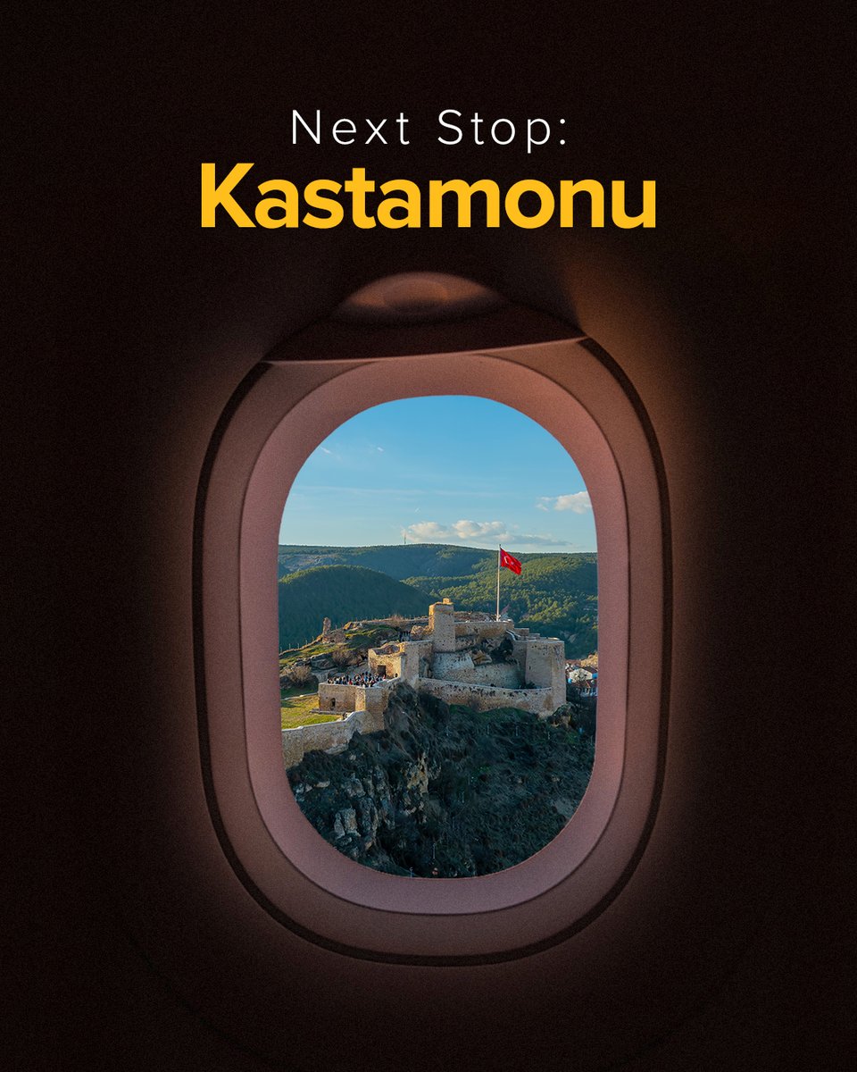 Pegasus Airlines tweet media