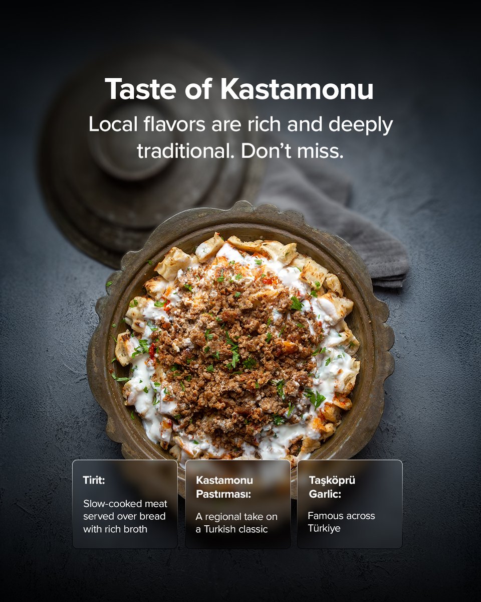 Pegasus Airlines tweet media