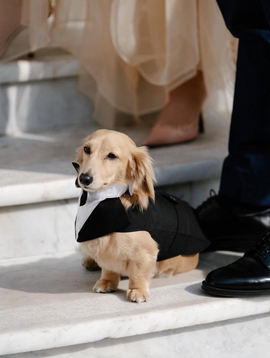what a gentleman.