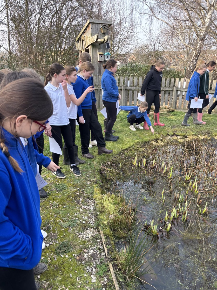 Rockingham J&I tweet media