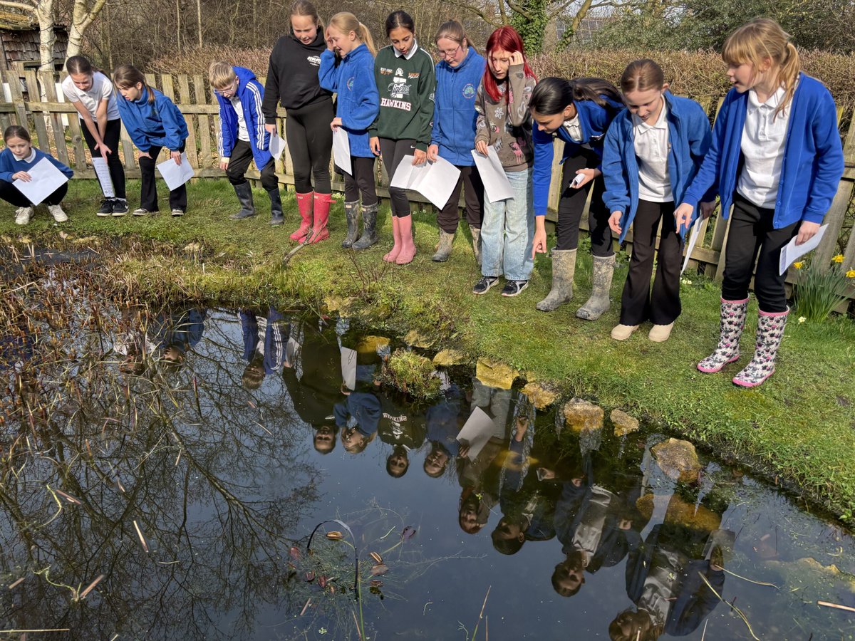 Rockingham J&I tweet media