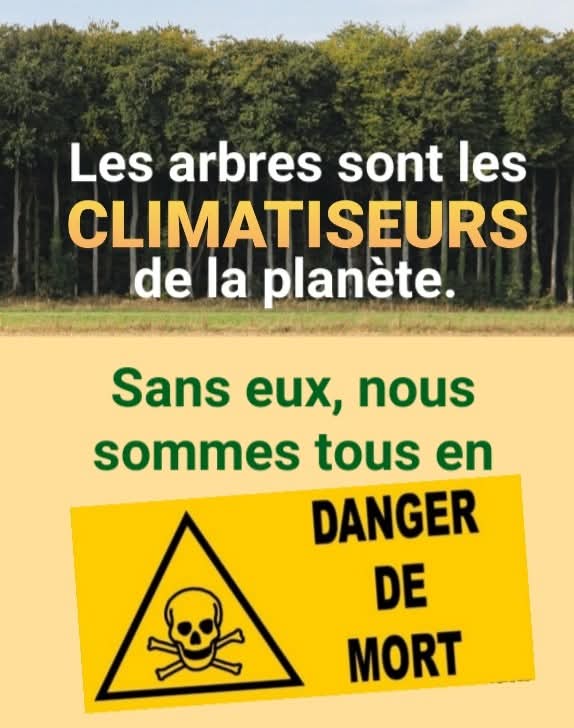 Adea Claude tweet media