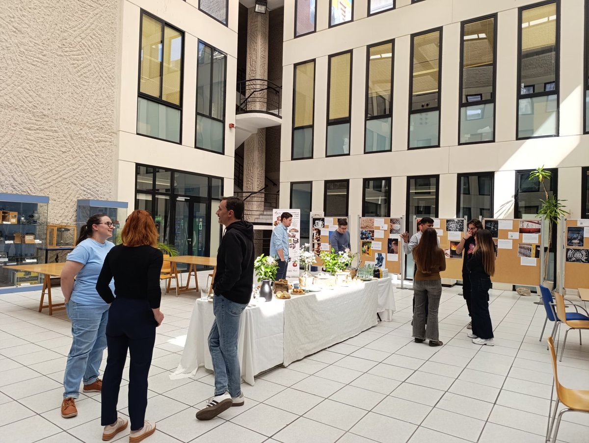 Instituto de Cerámica y Vidrio ICV-CSIC tweet media