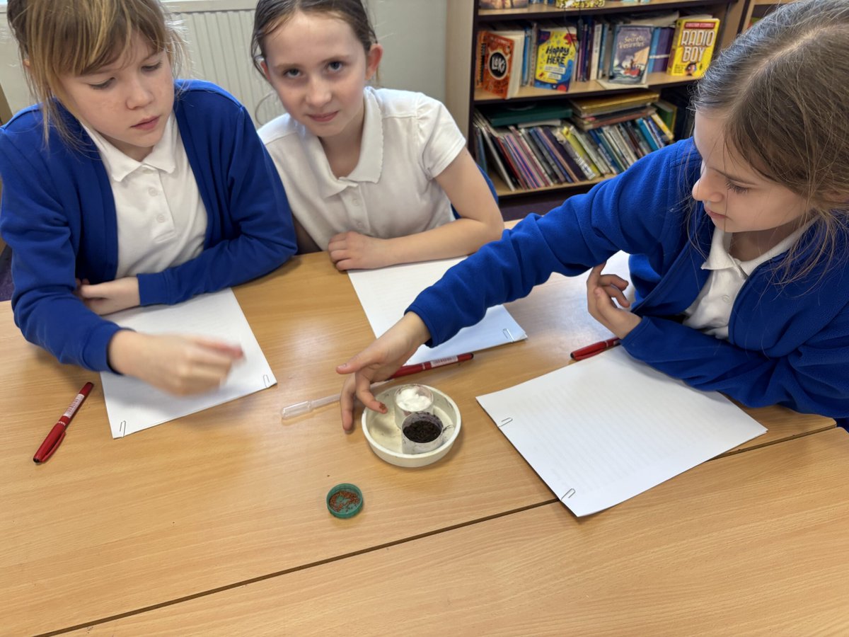 Rockingham J&I tweet media