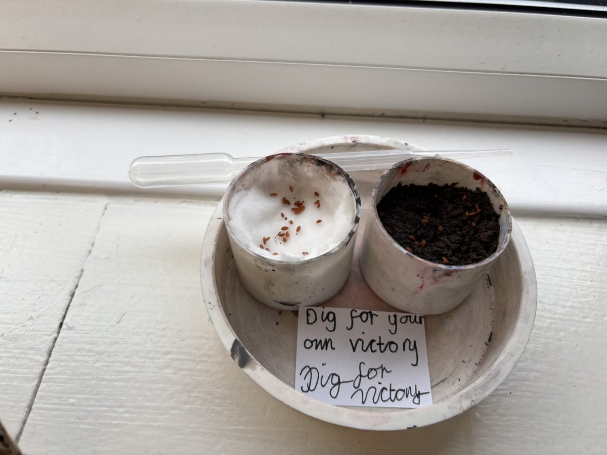 Rockingham J&I tweet media