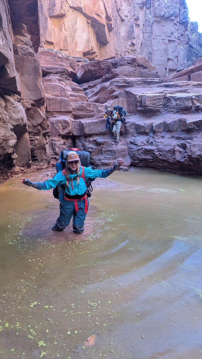 Bea Bock tweet media