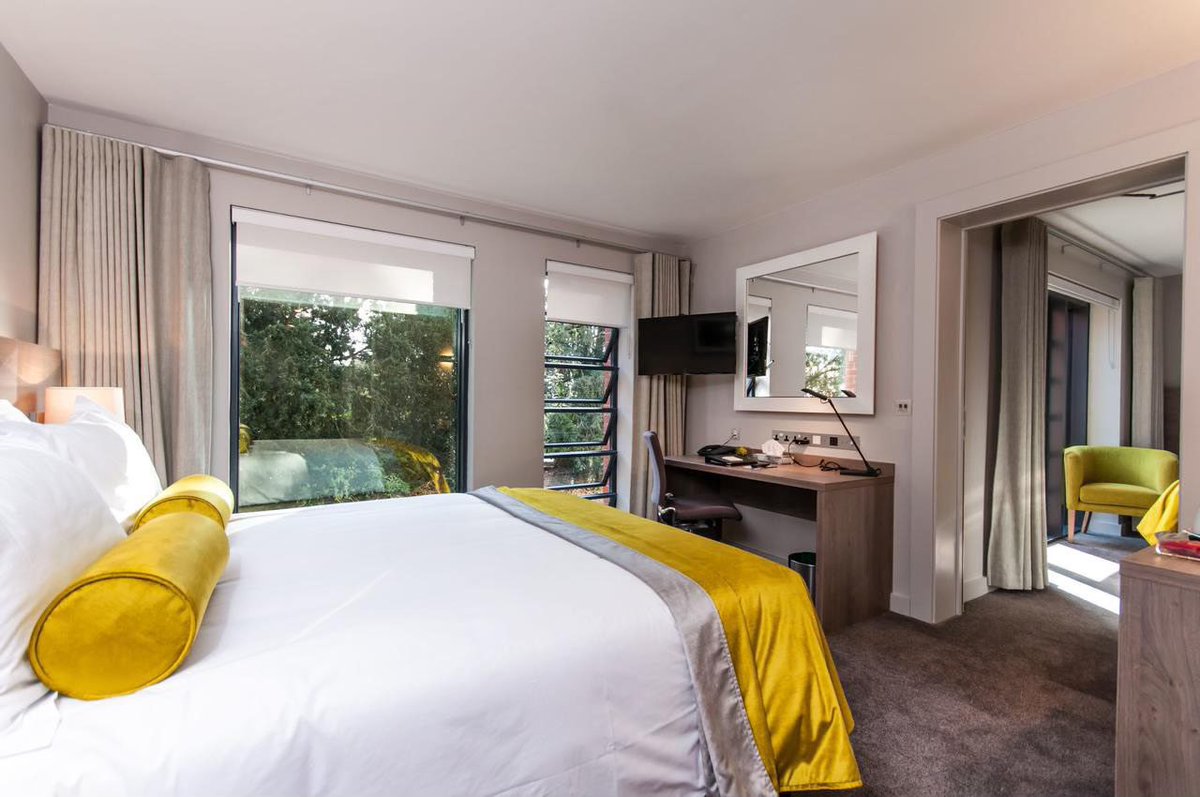 World Yoga Festival tweet media