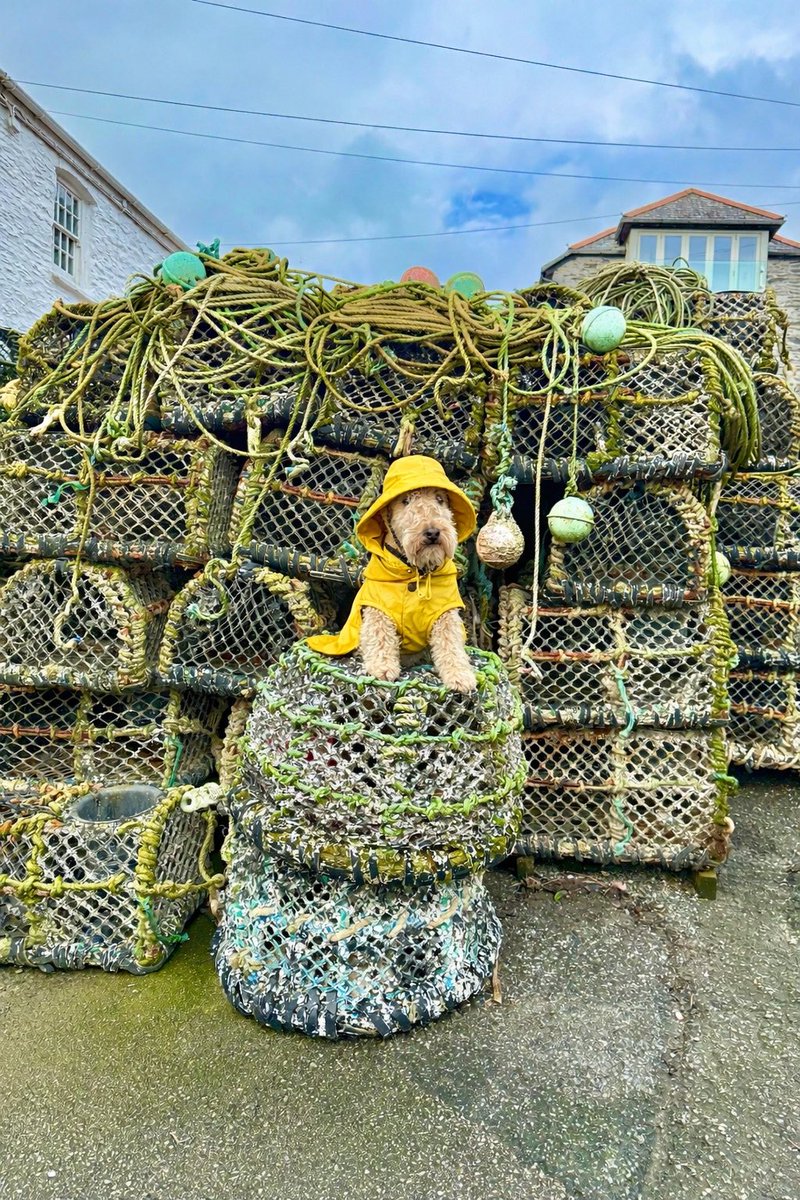 Bertie Lakeland tweet media