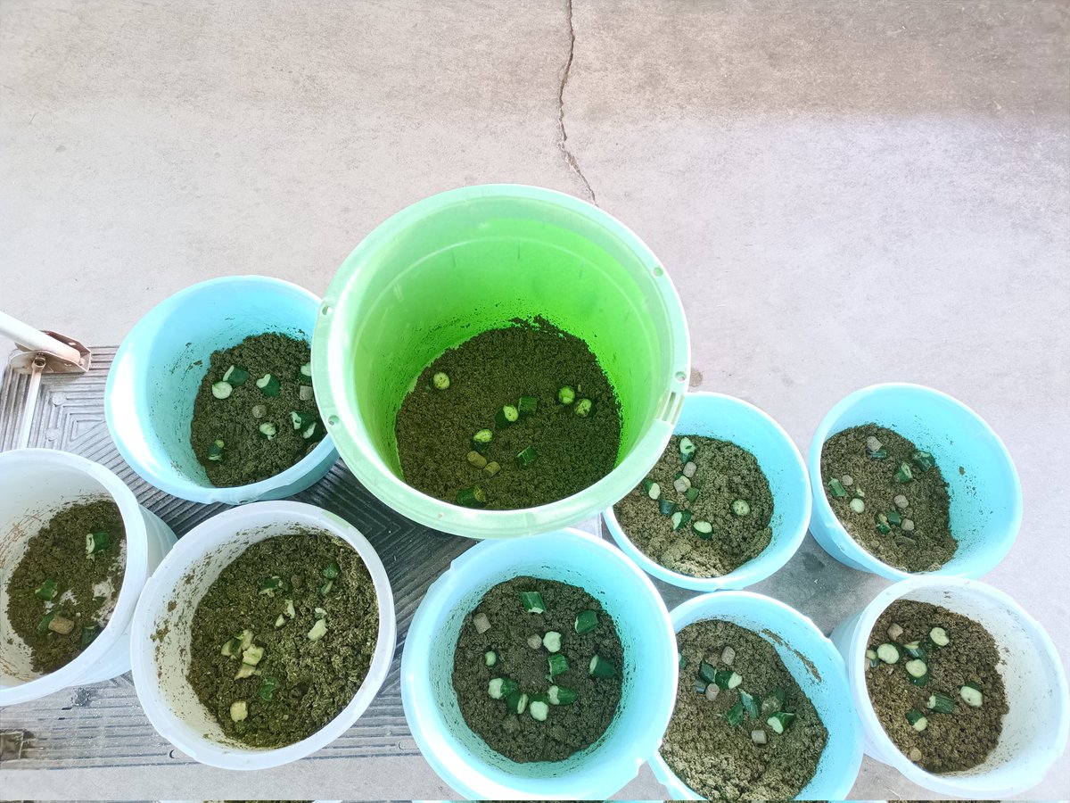 厩舎みちくさ 南相馬市小高区 tweet media