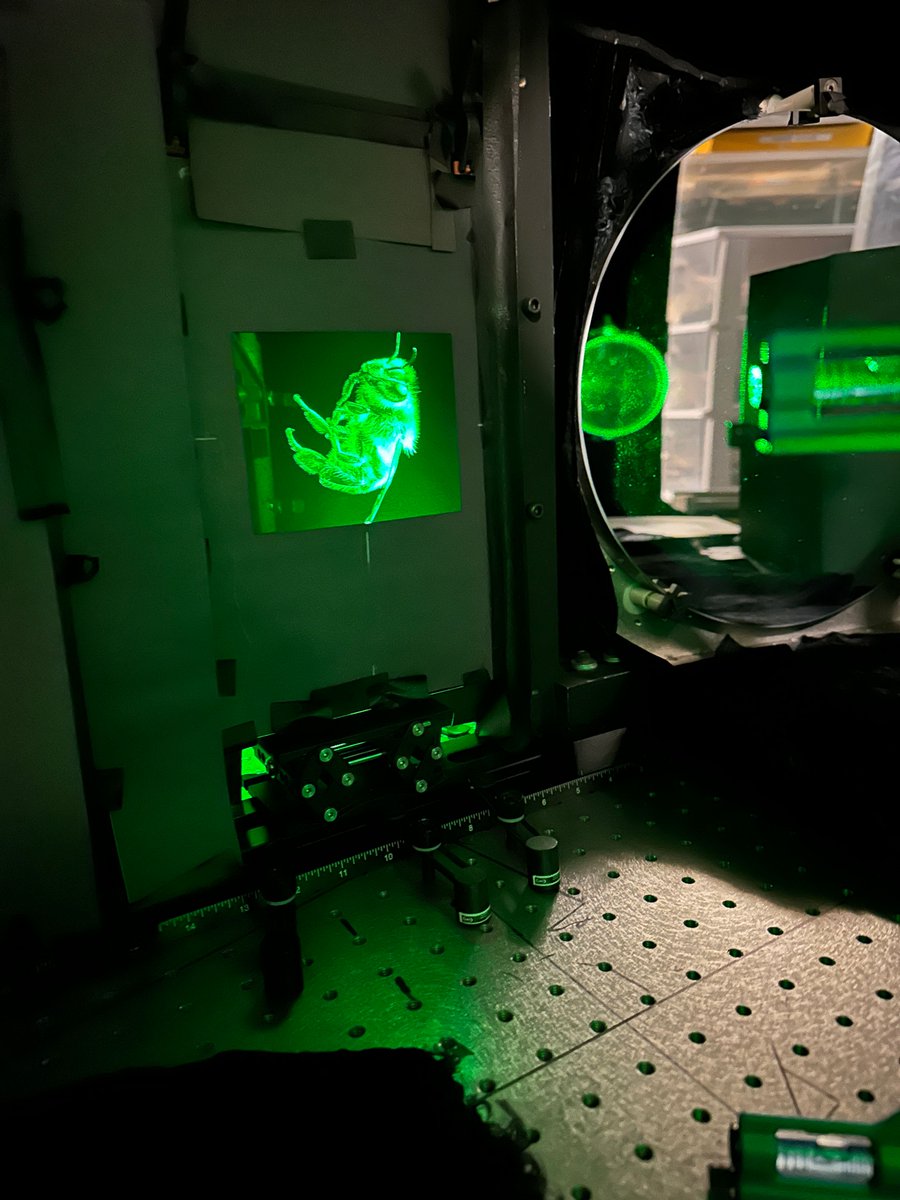 Dany Bittel tweet media