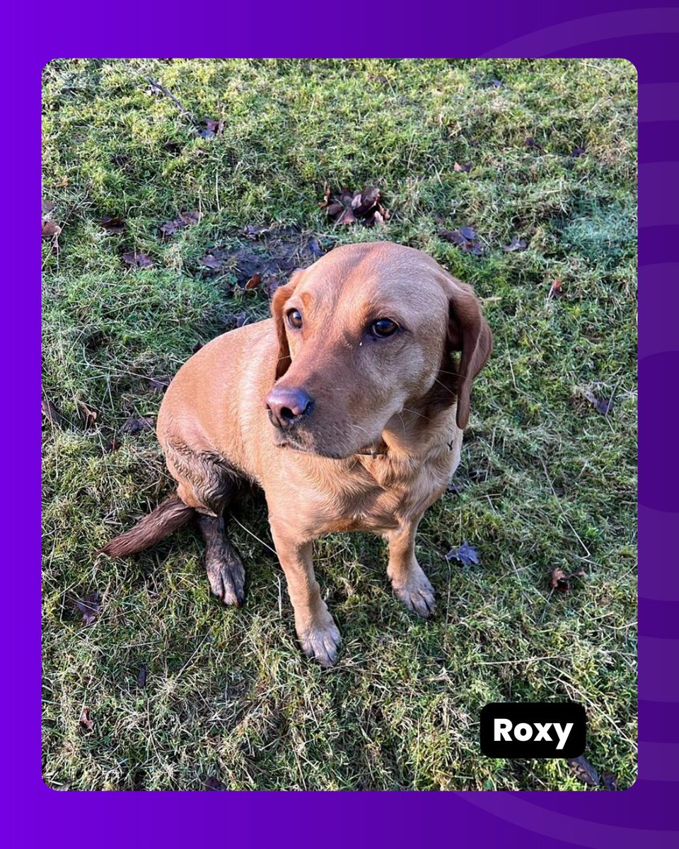 InModo25 tweet media