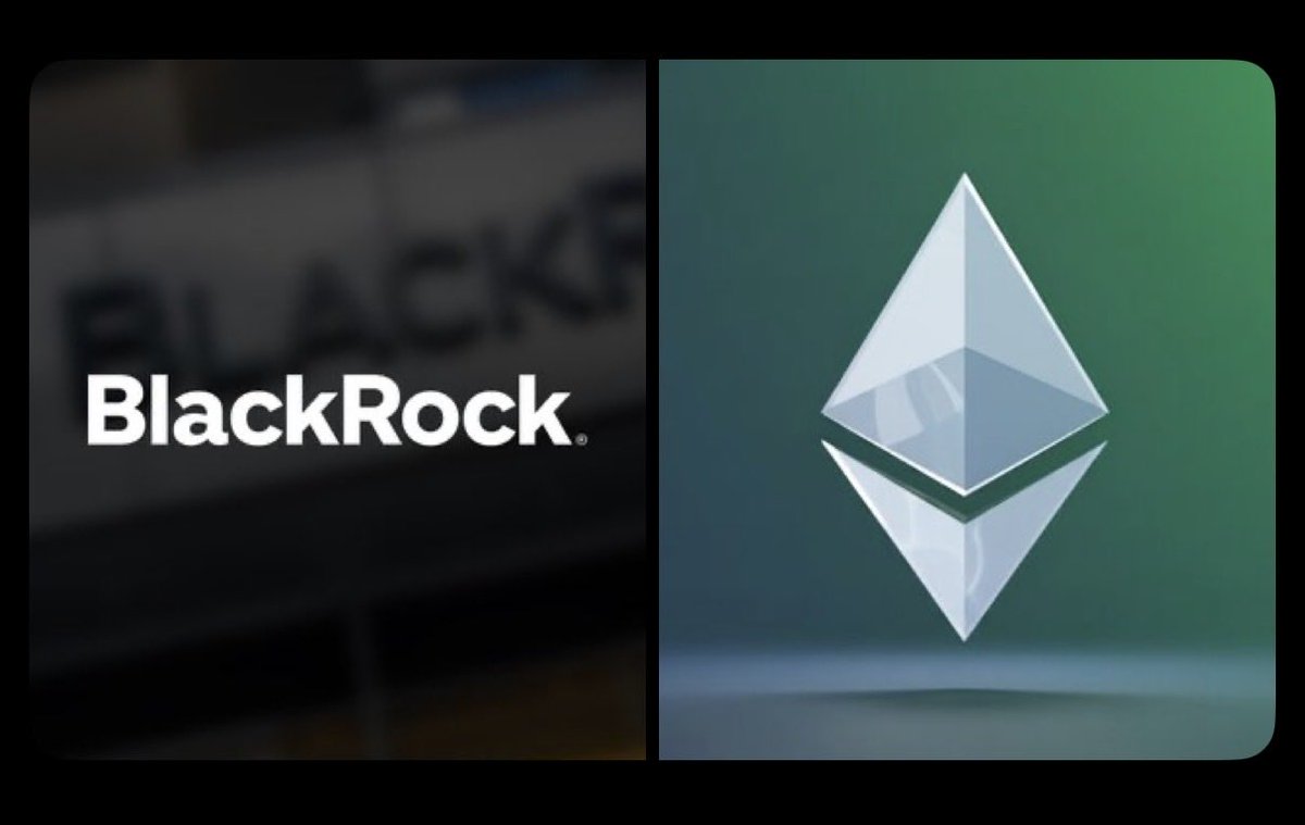 Cryptamazigh tweet media