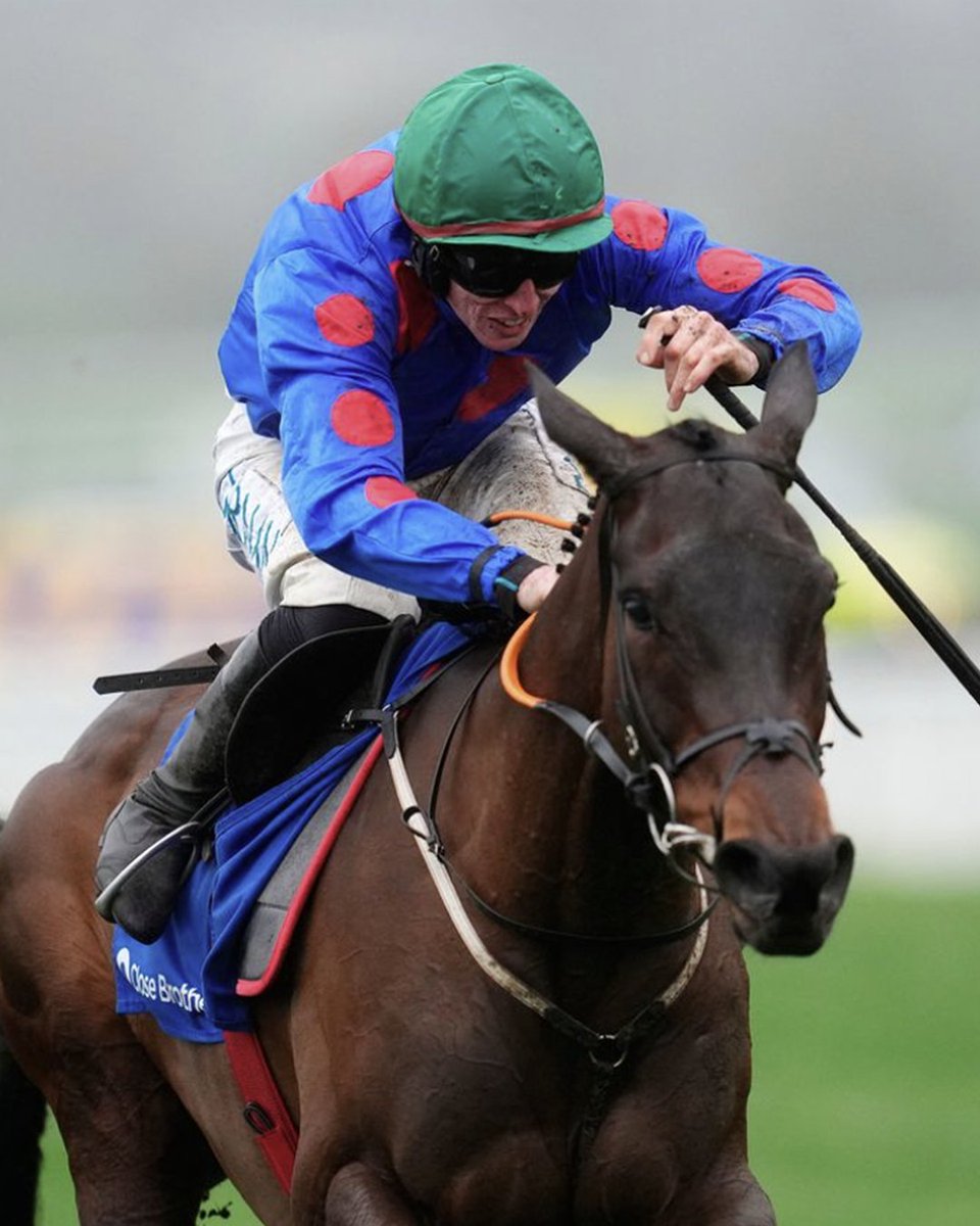 Paul Geaney's Bar & Restaurant tweet media