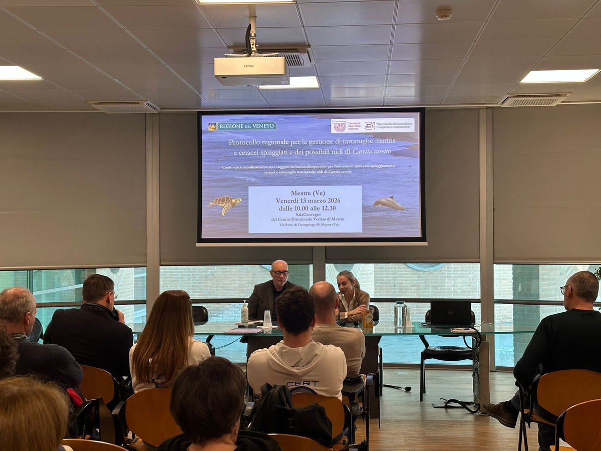 Confcommercio Veneto tweet media