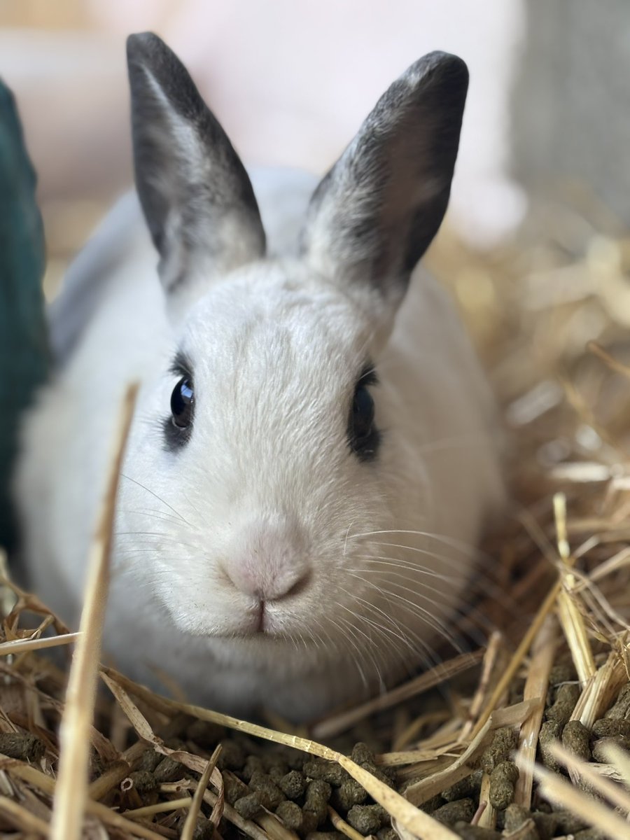 So many people are not seeing us 😢 
As a charity we rely on visibility and support from you. 
Please give Maddy a share and help us get seen ❤️