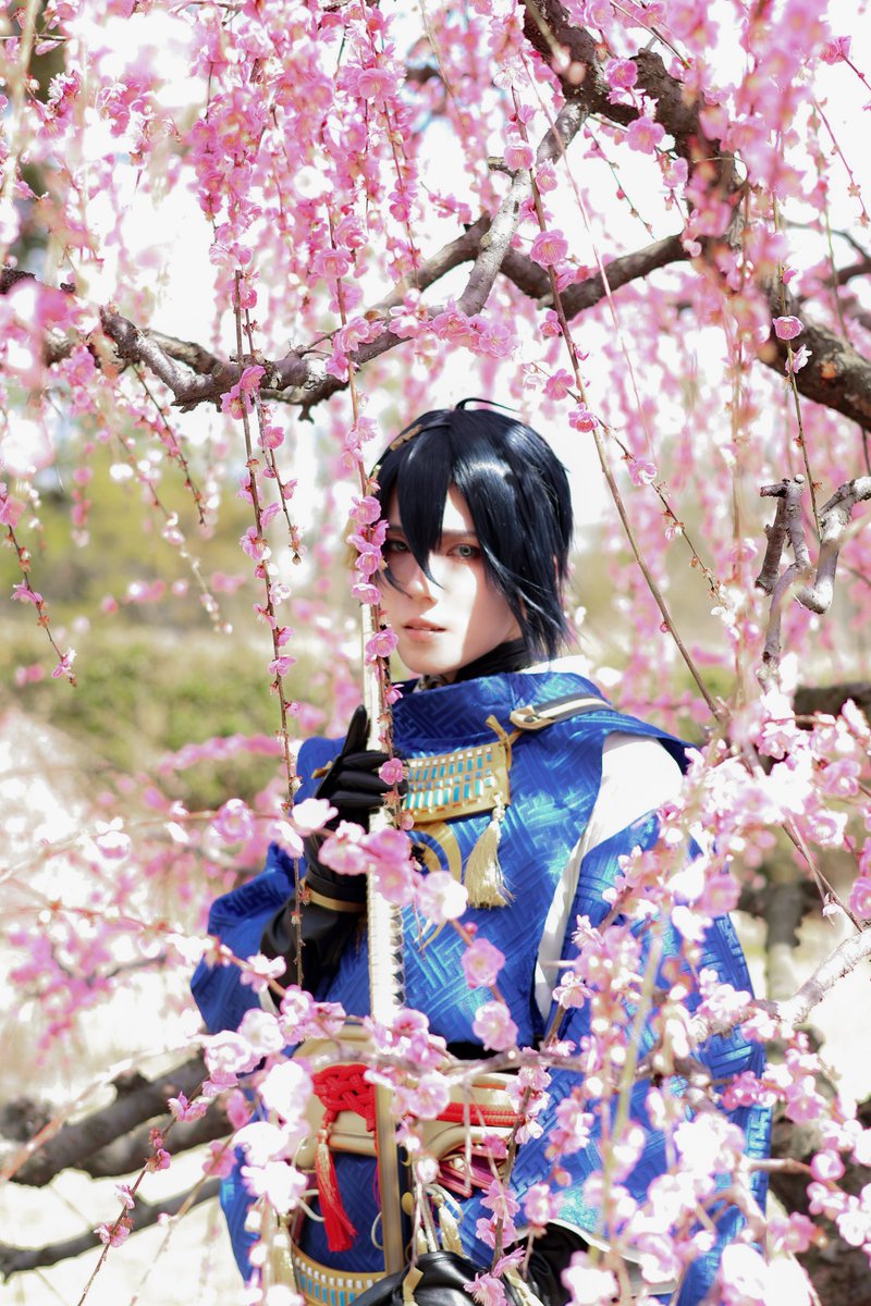 8a8a_2's tweet photo. cos
三日月宗近
￤

 花信風

￤
photo @mochikuinee https://t.co/ekGS7qfBYj