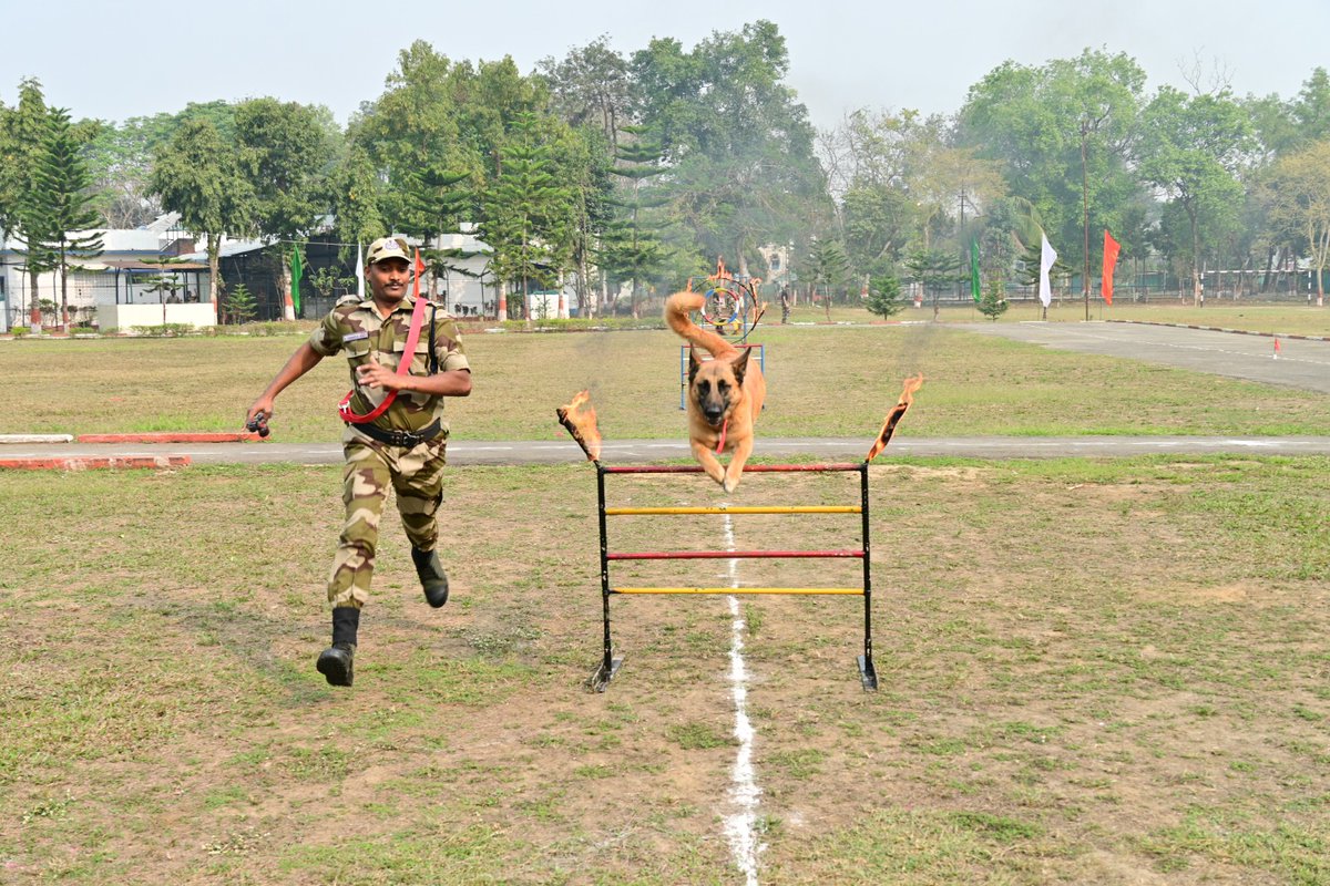 CISF Northeast Guwahati tweet media