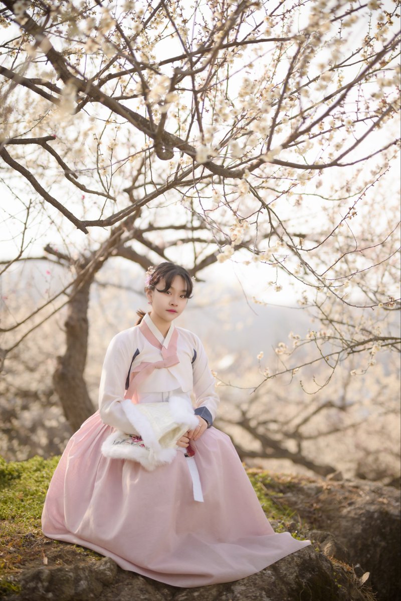 MD :  우리 공주님             
260309 광양 매화 한복
(조선여자 모나님 덕분에 저렴하게 한복 구했습니다감사합니다 ☺️)
Nikon Z8           

#Nikon #매화 #광화매화축제