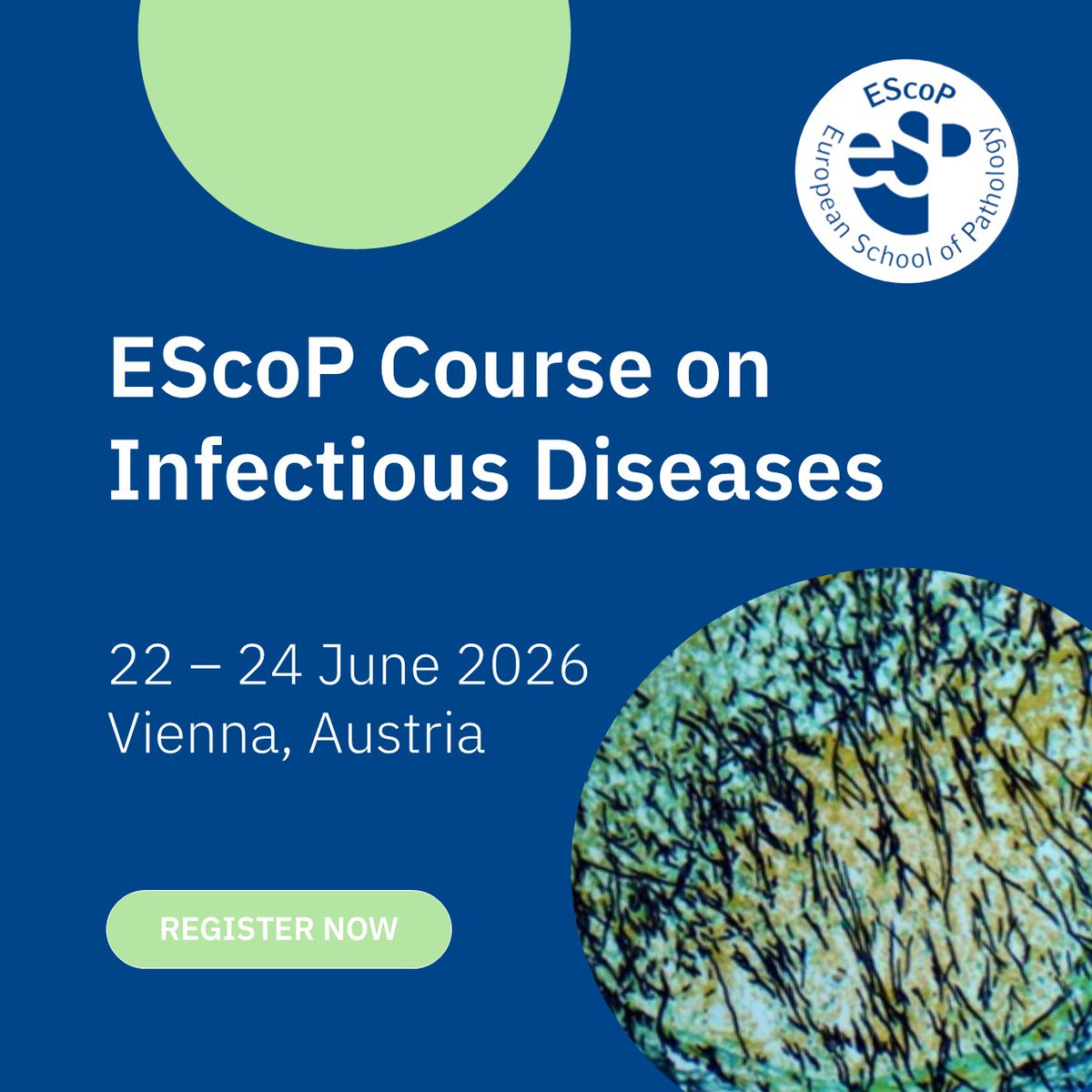 European Society of Pathology (ESP) tweet media