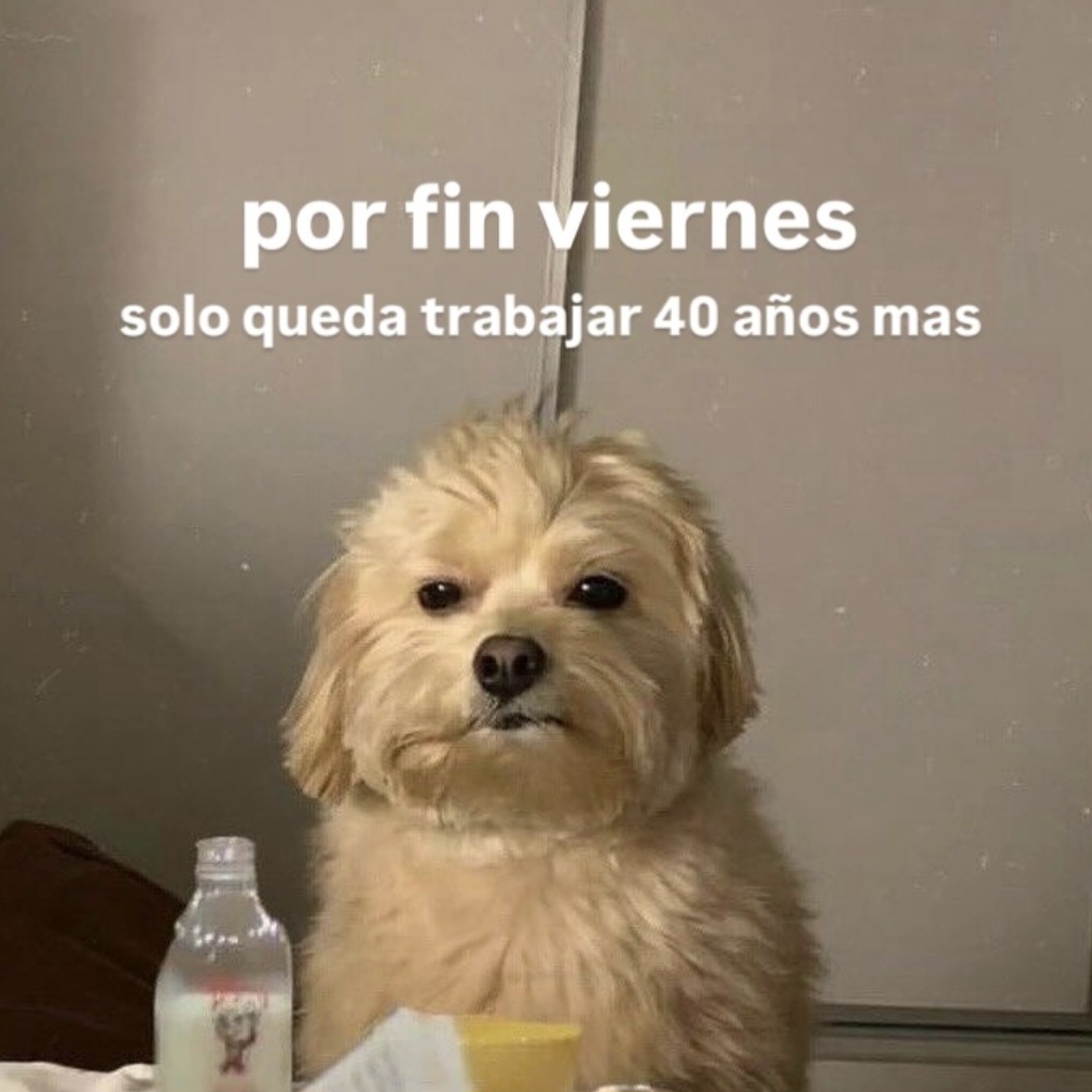 En Júpiter tweet media