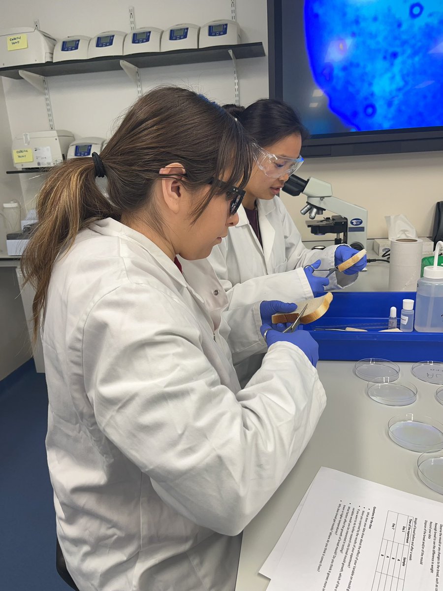 Adele Costabile tweet media