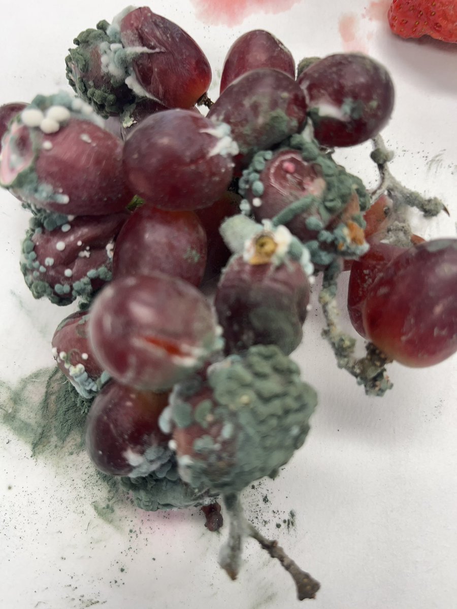 Adele Costabile tweet media