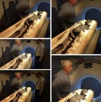 Hamavin Yavin tweet media