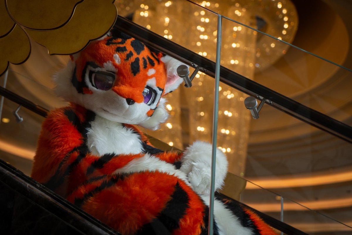 LigerRoxy tweet media