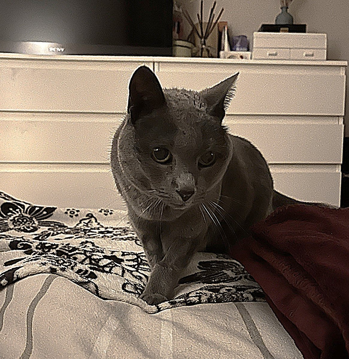 John Müller tweet media